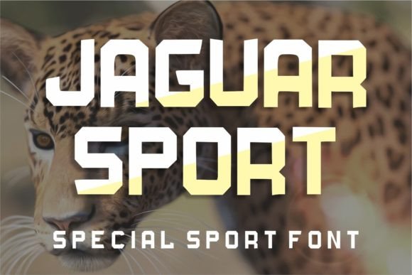 Jaguar Sport Typeface Review for Bold Branding Projects